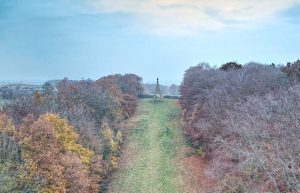 Needles Eye Rotherham