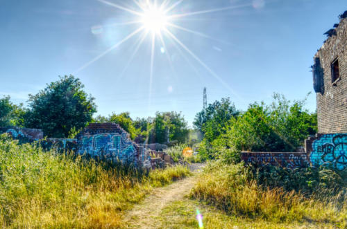 Old Park Farm - Wakefield.